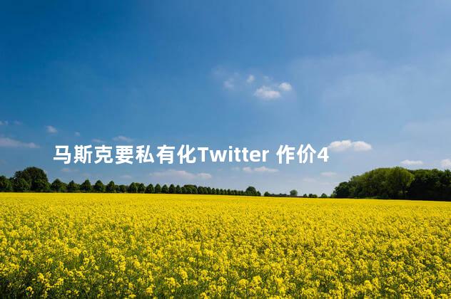 马斯克要私有化Twitter 作价430亿，马斯克在TED上大谈推特